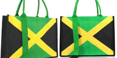 Waterproof Reggae Beach Tote
