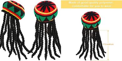 Rasta Hat & Dreadlock Wig Costume Set (17.3")
